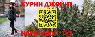 гидра Гай