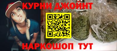 гидра Гай
