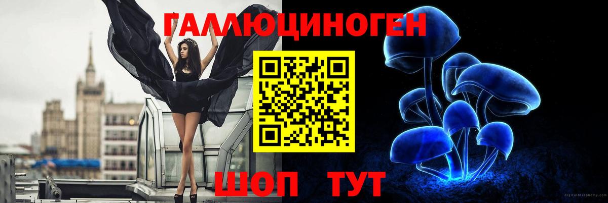Галлюциногенные грибы Psilocybine cubensis Донецк